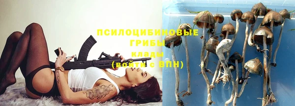 гидра Кулебаки