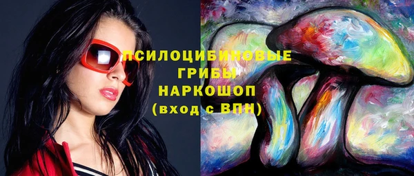 2c-b Куйбышев