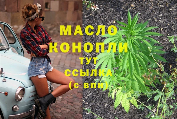 гидра Кулебаки