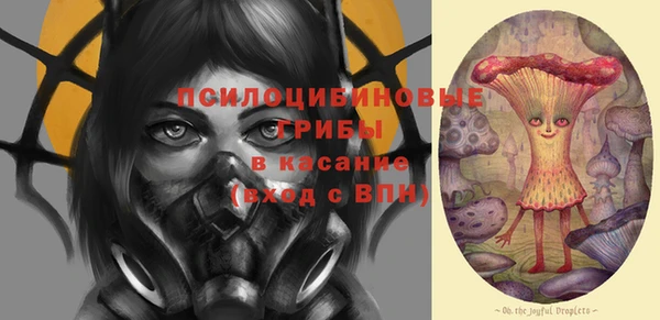 гидра Кулебаки