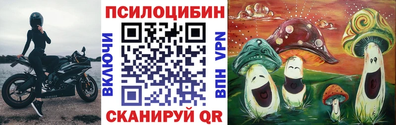 Купить закладки  Канск  Псилоцибиновые грибы мицелий 