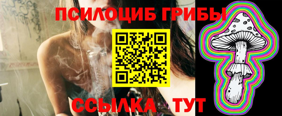 Галлюциногенные грибы Psilocybine cubensis Канск