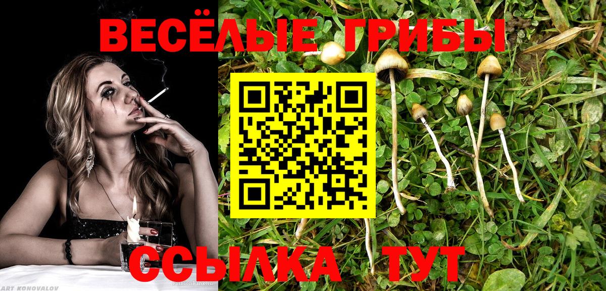 Канск  Галлюциногенные грибы MAGIC MUSHROOMS  Вход с VPN 