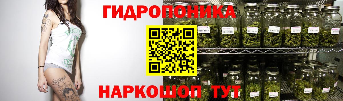 Каннабис MAZAR  МАРИХУАНА SATIVA & INDICA  Конопля MAZAR  Канск 